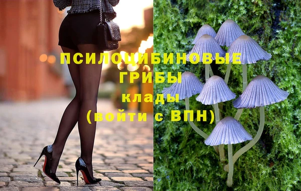 таблы Алзамай